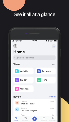Teamwork.com screenshot 3