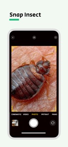 Bug Identifier - Punaise screenshot #2 for iPhone