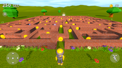 Maze Runner 3D Game Screenshot