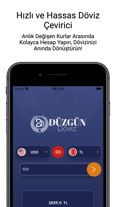 Düzgün Döviz A.Ş. Screenshot
