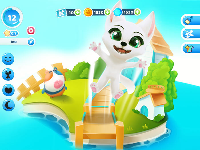 Inu the cute Shiba pet