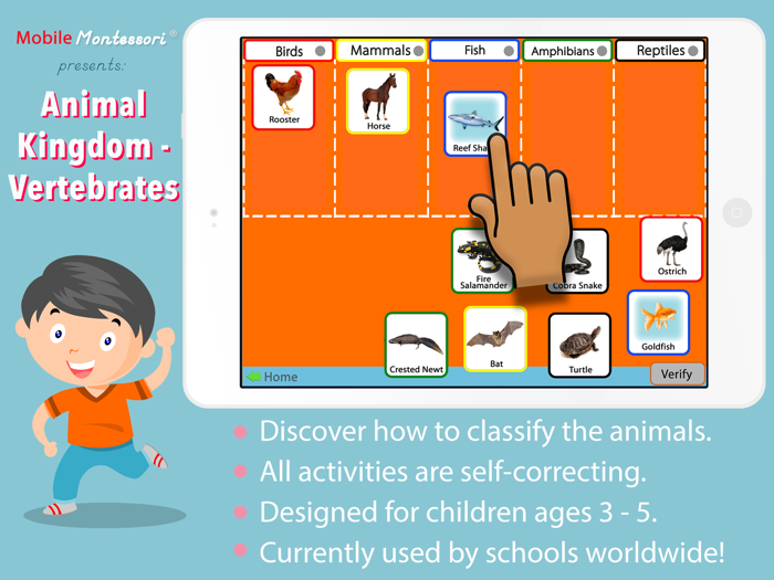 Animal Kingdom Vertebrates