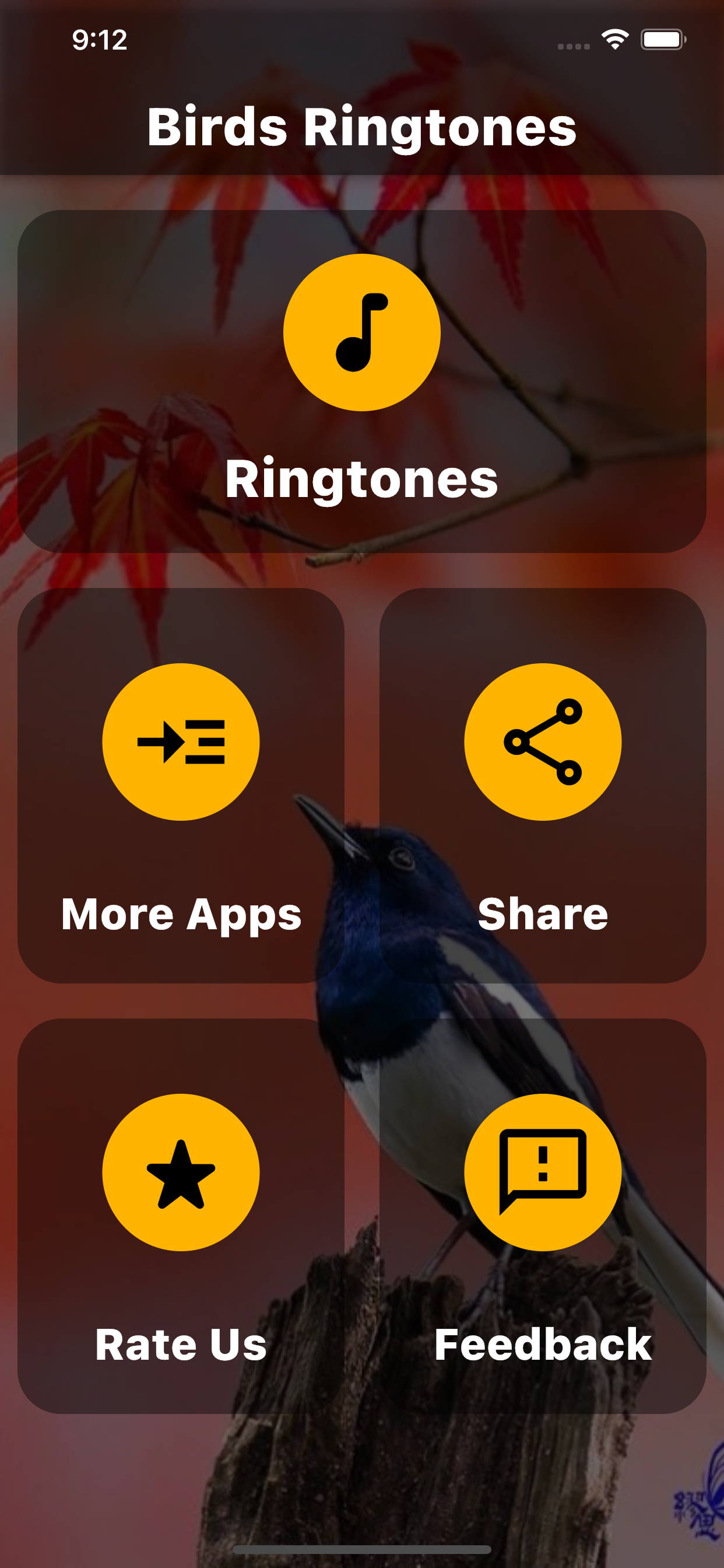 Birds Ringtones