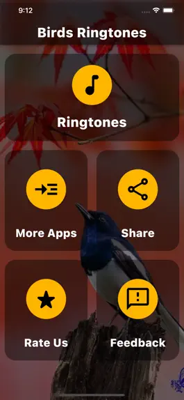 Game screenshot Birds Ringtones apk