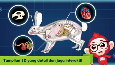 Marbel Sains : Anatomi Hewanのおすすめ画像2