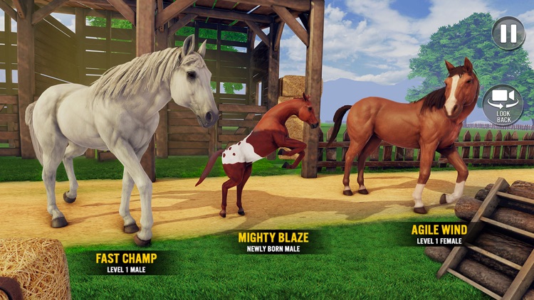 My Stable Horse Racing Games