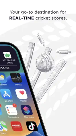 Game screenshot Cricket Pulse Live apk