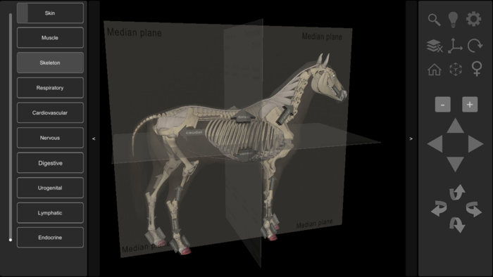 3D Horse Anatomy Software