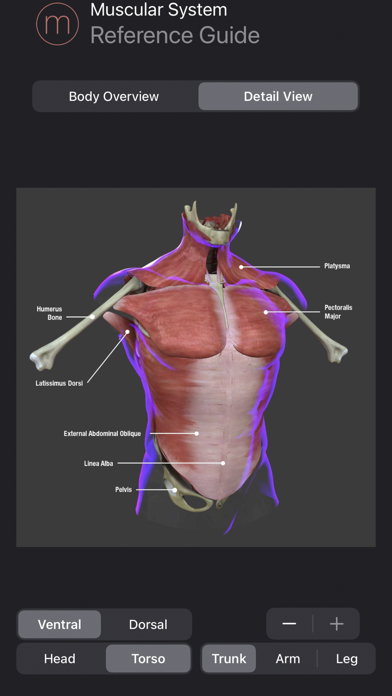 Screenshot #3 pour Muscle Study Guide