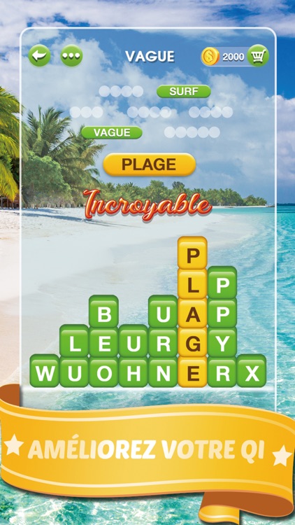 Mots Malins - Jeu de mots pro