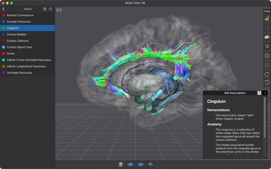 #4. Brain Tutor (macOS) 由: Rainer Goebel
