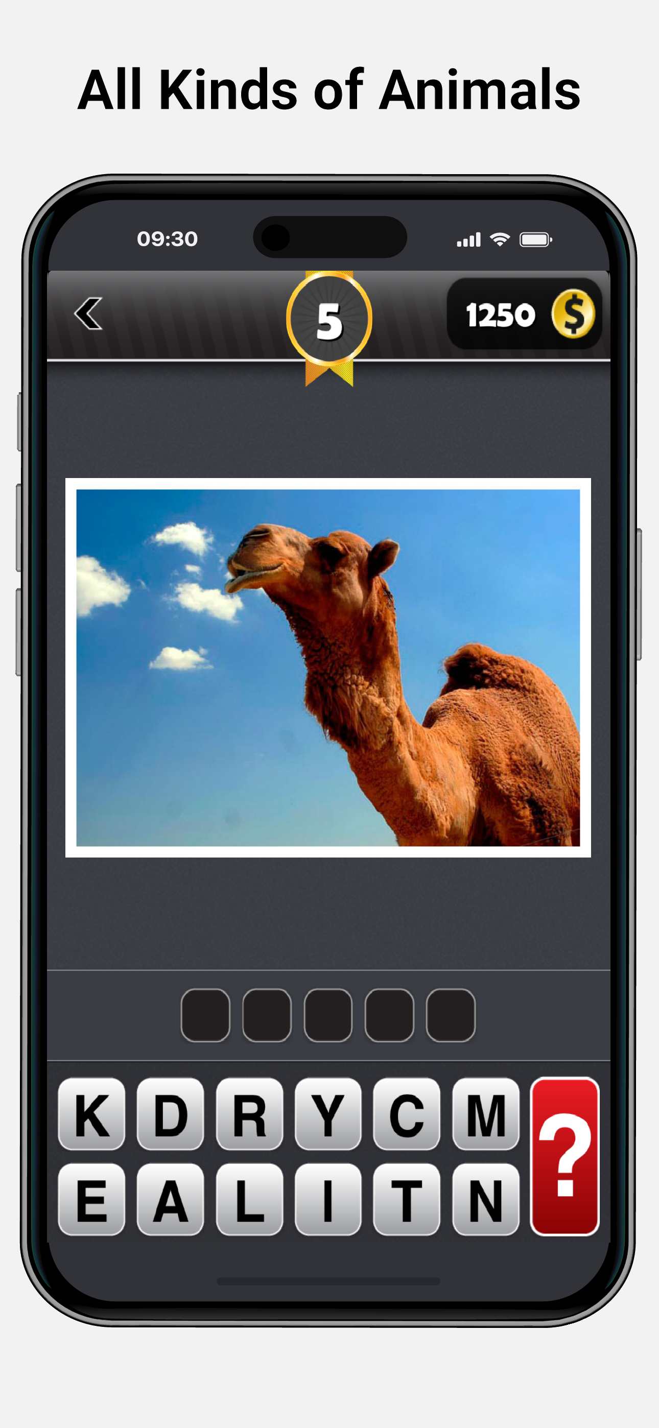 Animal Kingdom Quiz Worldwide