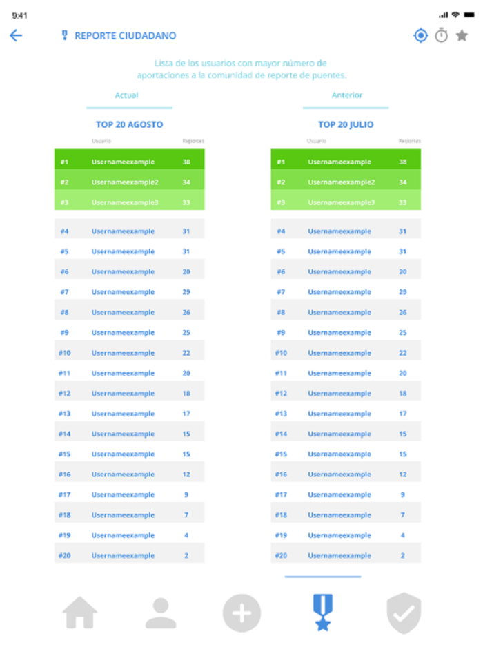 Al Puente  Reporte De Puentes
