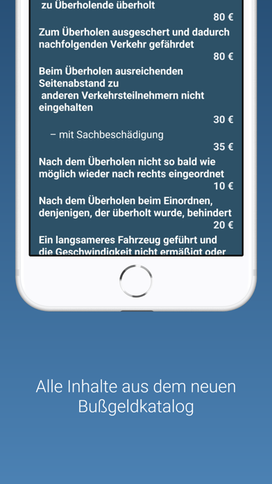Bußgeldrechner Deutschland Screenshot