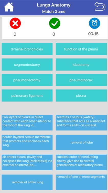 Respiratory System Flashcards screenshot-7