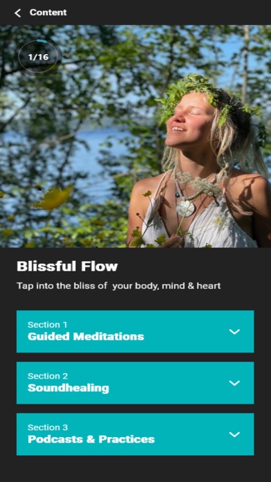 Be Flow Screenshot