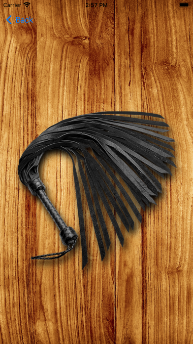 Whip Simulator - Pocket Whip Screenshot