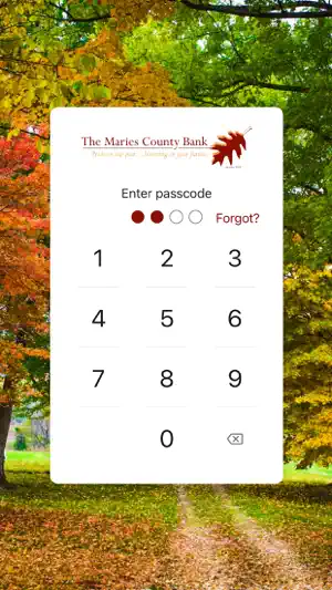 Maries County Bank screenshot 2