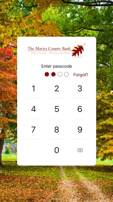 Maries County Bank Screenshot