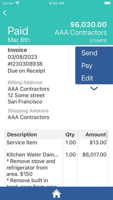 Dr. Vinyl Business App Screenshot