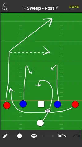 Game screenshot Flag Football Play Caller hack