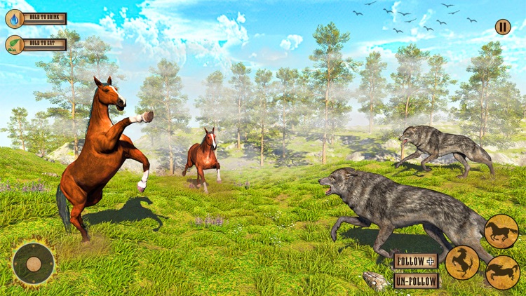 Wild Horse Animal Simulator