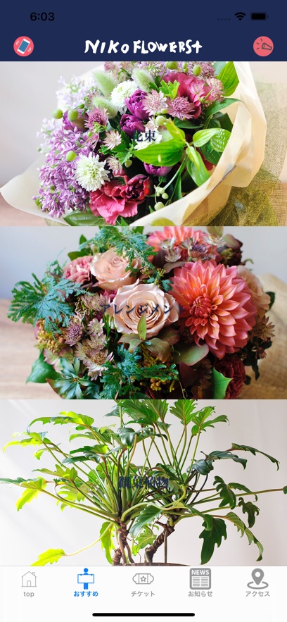 NIKO FLOWERS