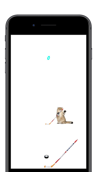 Cat Sports Screenshot