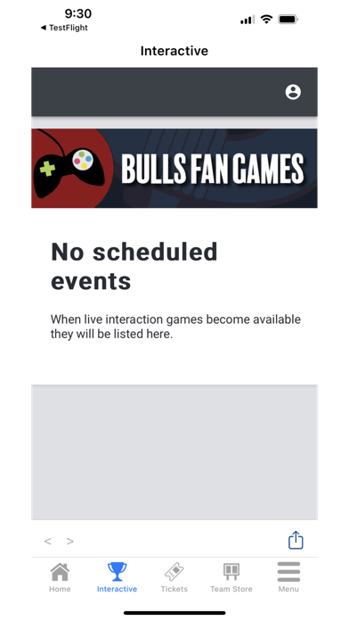 Birmingham Bulls Screenshot