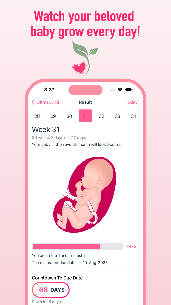 Pregnancy Calculator Due Date