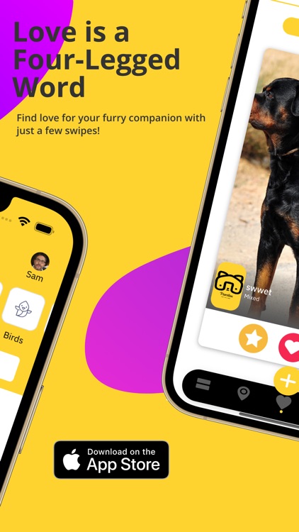 Pawsitive-Pet Dating Matches