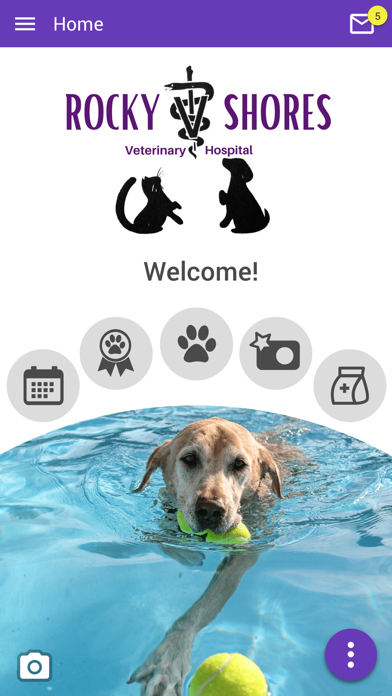 RockyShoresVet Screenshot