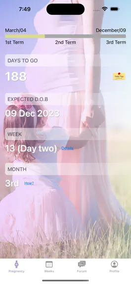 Game screenshot Pregnancy-tracker apk