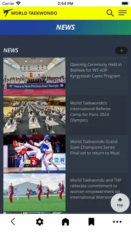 Game screenshot World Taekwondo apk