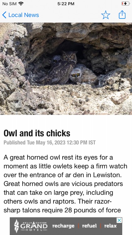 Lewiston Tribune screenshot-4