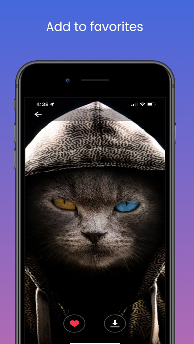 Wallpaper Expert Pro Screenshot