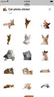 cat photo sticker iphone screenshot 2