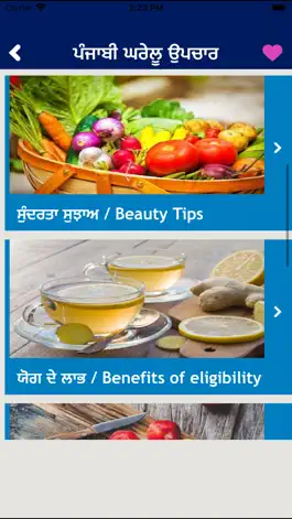 Game screenshot Punjabi Home Remedies Guide hack