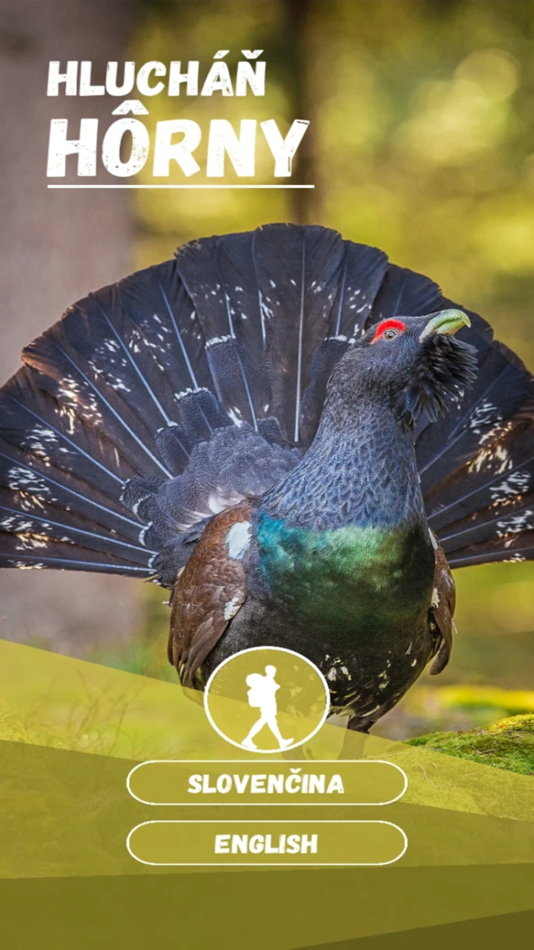 #1. hlucháň hôrny (iOS) 由: Peter Marek
