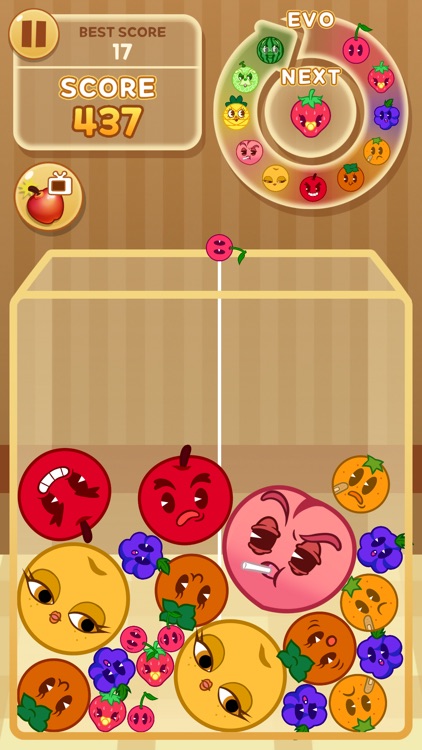 Merge&Crash Watermelon