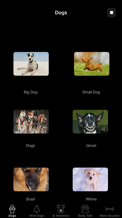 Dog Sounds & Body Talk Screenshot