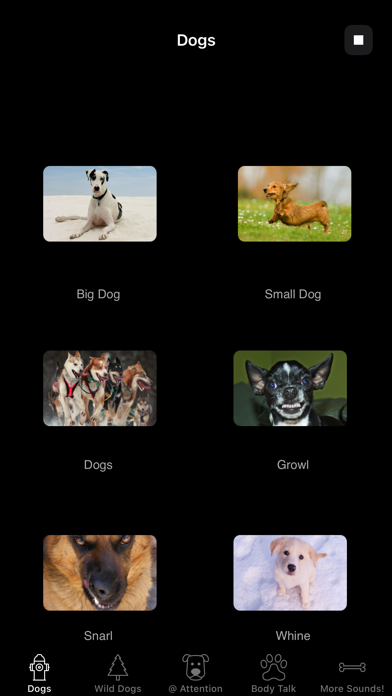 Screenshot #1 pour Dog Sounds & Body Talk