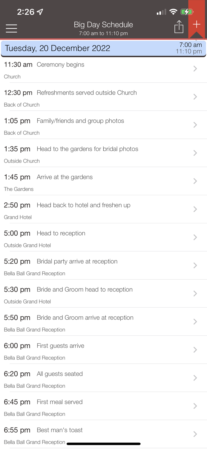 Wedding Planner Professional