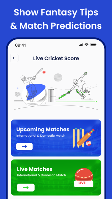 Live Cricket Score: Live Score Screenshot