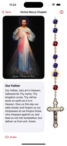 Divine Mercy screenshot #1 for iPhone