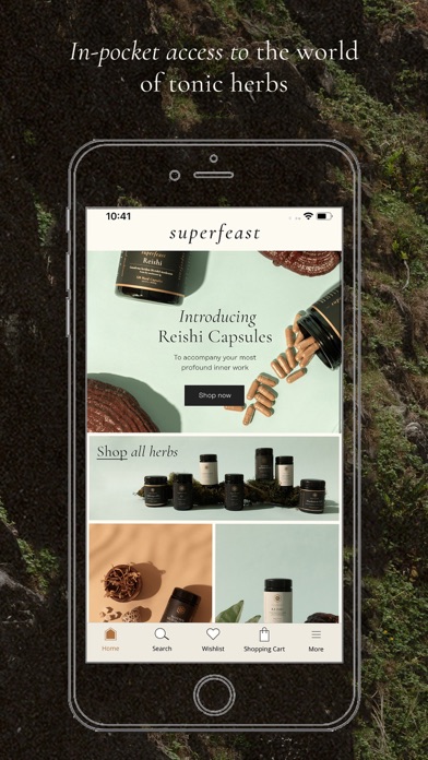 SuperFeast Screenshot