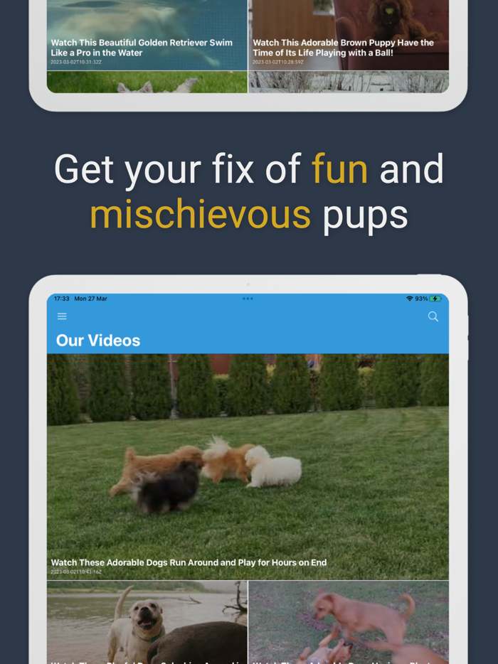 Pawfect Life - Puppy Training