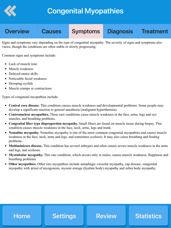Muscle System Anatomy