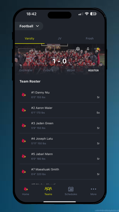 REPu Screenshot