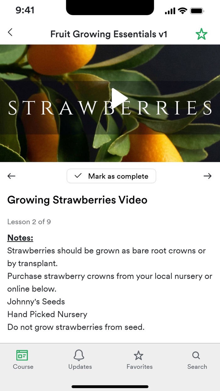 Wild Child Kitchen Gardens